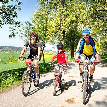 Picture for category Bici in famiglia
