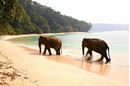 Picture of Andaman Islands | Andaman Islands Expedition Cruise | Catamaran sailing holiday | Full board