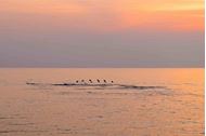 Immagine di Isole Andamàne | Andaman Islands Expedition Cruise | Vacanza a vela in catamarano | Pensione completa