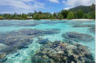 Crociera a Rangiroa su Lagoon 620