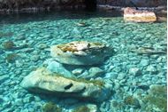 Immagine di Arcipelago Toscano - Isola di Capraia | Crociera in barca a vela | 3 giorni settembre