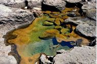 Picture of Tuscan Archipelago - Capraia Island | Cruise on a sailing boat | 3 days July