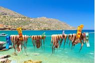 Immagine di Grecia - Isole Ioniche | Crociera in flottiglia a vela e catamarano | 7 giorni agosto