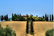 Immagine di Weekend in Toscana, su e giù per le colline!