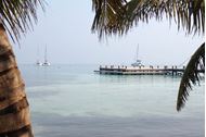 Picture of  Belize | 2024 | Exclusive catamaran rental with skipper and hostess | Catana 50 |