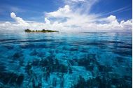 Immagine di 2024/'25 | Belize  | Crociera a vela in catamarano | Cabin Charter | skipper e hostess | Catana 50 | 
