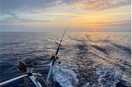 Immagine di 2026 | A Ponza con la lenza! | Crociera e Pesca d'altura in catamarano | settembre