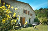 Immagine di 2024 | Toscana | Mondovela e NetLeg Community Retreat | Hike, bike food and wine