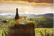 Immagine di NetLeg Experience | Toscana | Hike, bike, horseback ride | Weekend sport e relax | 11-13 ottobre a Casciana Terme 