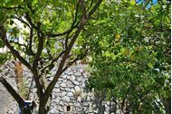 Immagine di 2025 | Pasqua | Procida e Isole Pontine | crociere in catamarano | cabin charter | 