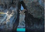Immagine di 2025 | Ponte 2 Giugno | Procida | isole Flegree e Costiera Amalfitana | Crociera in Catamarano |