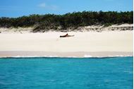Immagine di Capodanno 2026 | St. Barth e Isole sottovento | Crociera a vela in catamarano | VOLI INCLUSI