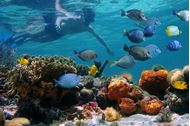 Immagine di 2026 | Bahamas Exumas | Crociera in catamarano | 25 aprile - VOLI INCLUSI