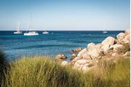 Immagine di 2025 Tirreno Coast to Coast | Oneway Toscana-Sardegna | crociera in barca a vela | 1 settimana 