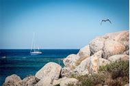 Immagine di 2025 Tirreno Coast to Coast | Oneway Toscana-Sardegna | crociera in barca a vela | 1 settimana 