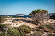 Immagine di 2025 Tirreno Coast to Coast | Oneway Toscana-Sardegna | crociera in barca a vela | 1 settimana 