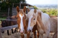 Immagine di 2025 | Toscana | Weekend sport e relax in agriturismo