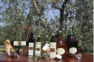 Immagine di 2025 | Toscana | Weekend sport e relax in agriturismo