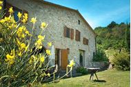 Immagine di 2025 | Toscana | Weekend sport e relax in agriturismo