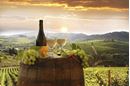 Immagine di 2025 | Toscana | Mondovela e NetLeg Community Retreat | Hike, bike food and wine
