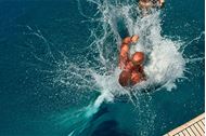 Immagine di 2026 | GRECIA ORIENTALE | Dodecaneso & Sporadi | Vacanza in barca a vela | 14 giorni agosto |