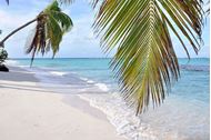 Immagine di Capodanno 2027 | St. Barth & Isole Sottovento in Catamarano | VOLI INCLUSI