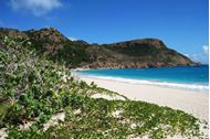 Immagine di Capodanno 2027 | St. Barth & Isole Sottovento in Catamarano | VOLI INCLUSI