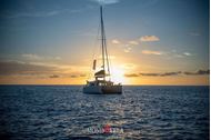 Immagine di Seychelles | Crociera in flottiglia in catamarano | 25 Aprile | VOLI inclusi da Milano o Roma