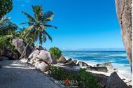 Immagine di Seychelles | Crociera in flottiglia in catamarano | 25 Aprile | VOLI inclusi da Milano o Roma
